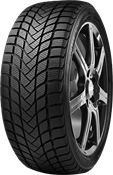 Delinte WD6 245/45 R18 100 V