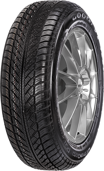 Goodyear UltraGrip Performance 2 205/50 R17 89 H RUN ON FLAT *, FP