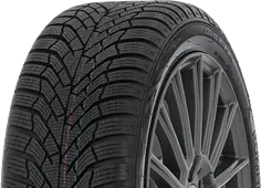 BMW 316 online BFGoodrich Winterreifen 195/65R15